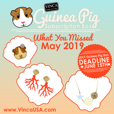 May 2019 Guinea Pig Subscription Box