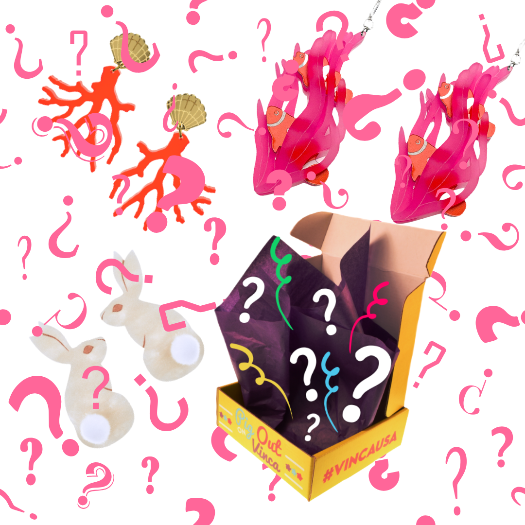 image of secret earrings in a surprise box