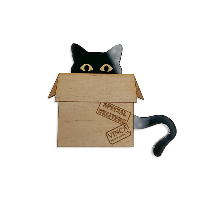 PsPsPsPecial Delivery - Cat in a Box Brooch