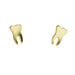 Teeth Earrings in Mirror Gold
